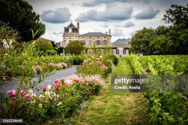 Moulis-en-Medoc : castle Chateau de Chasse- Spleen, vineyard of Medoc.