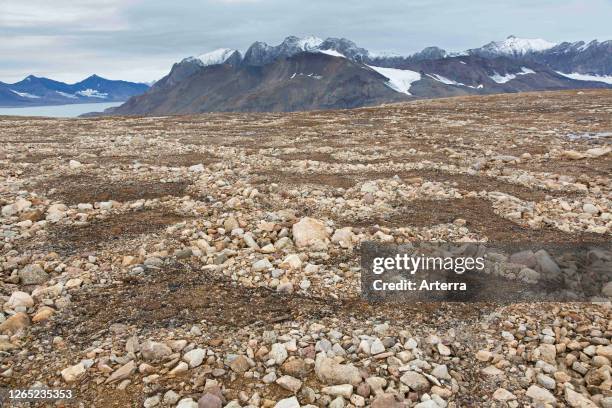 Partially melted and collapsed lithalsas - heaved mounds found in permafrost - left circle-like structures on the tundra, Svalbard Archipelago,...