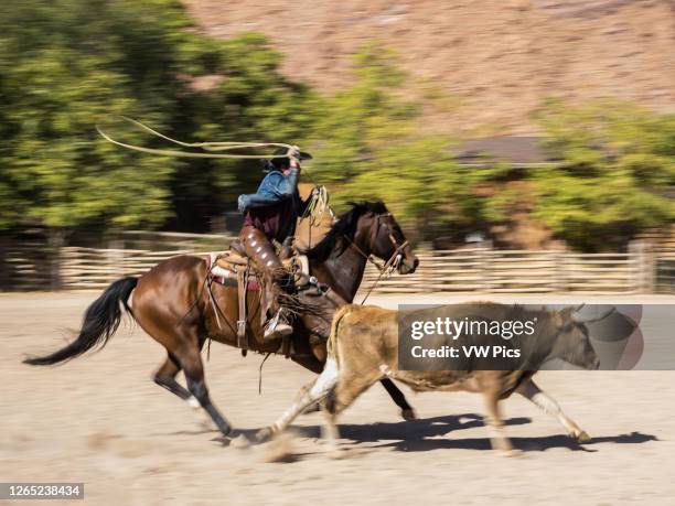 Slow shutter speed produces motion blur and conveys a sense of speed when photographing a cowboy roping a longhorn steer on a ranch near Moab, Utah.