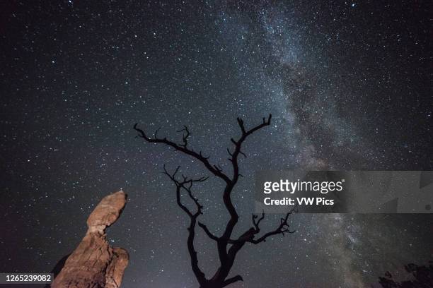 Sky at night over Arches National Park, USA.