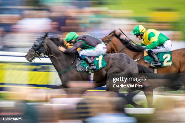 Ripon Races Ripon Races Photos and Premium High Res Pictures - Getty Images