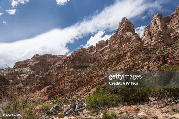 The rock formations and cliffs of Split Mountain Canyon on the Green River in Dinosaur National Monument in northern Utah.