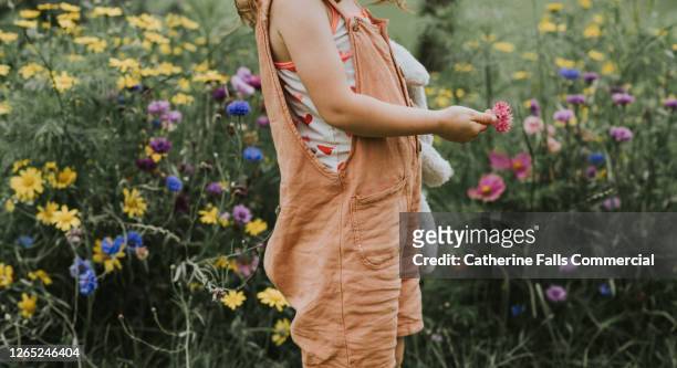 child stands in front of wildflowers, holding a single flower and a soft toy. - bee flower grass stock-fotos und bilder