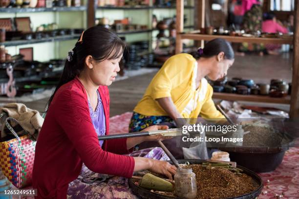 Cheroot cigar making workshop in the village of Nam Pan.