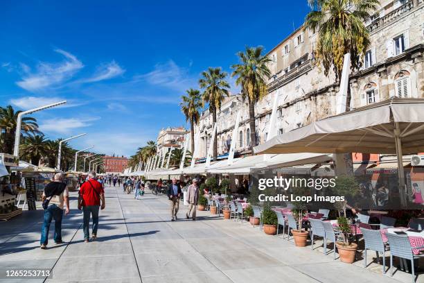 Spitz Promenade Palm Lined Promenade Photos and Premium High Res Pictures - Getty Images