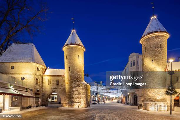 Winter dawn at the city walls of Tallinn.