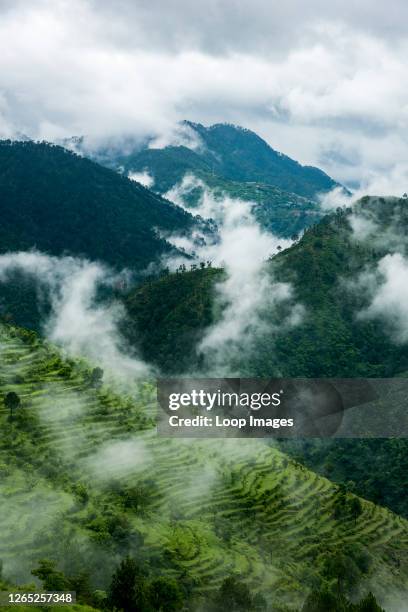 Garwal 58 Lansdowne Uttarakhand Stock Photos, High-Res Pictures, and Images ...
