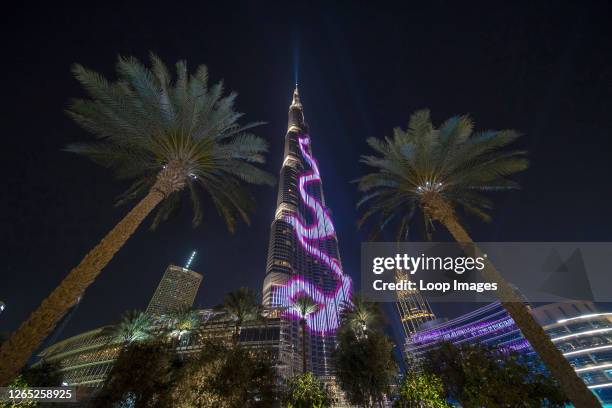 Palm trees frame the illuminated Burj Khalifa in Dubai.