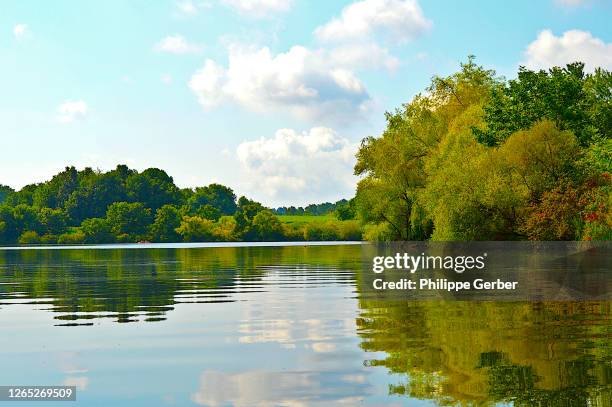 chambers lake, pennsylvania - pennsylvania forest stock pictures, royalty-free photos & images