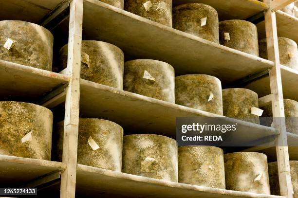 Cheddar Complex Cheddar Complex Photos and Premium High Res Pictures - Getty Images