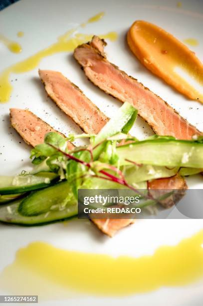 Salmon encrusted in spices with sweet potatoes pure. Fredrik Andersson chef. Smogen Sea Lodge. Northern Sea. West Coast. Sweden. Europe.