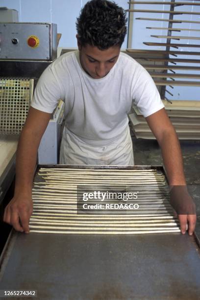 Preparation of breadstick. Il Germoglio bakery. Acqui Terme. Piedmont. Italy. .