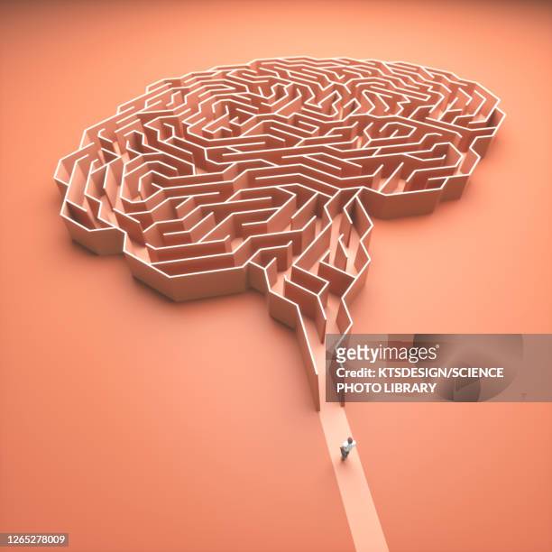 illustrazioni stock, clip art, cartoni animati e icone di tendenza di human brain, conceptual illustration - cervello umano