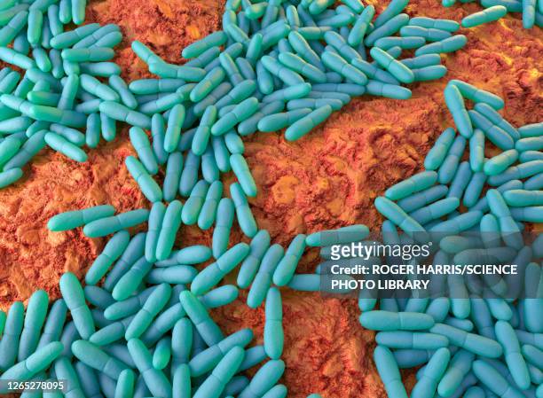 leprosy bacteria, illustration - germs stock illustrations
