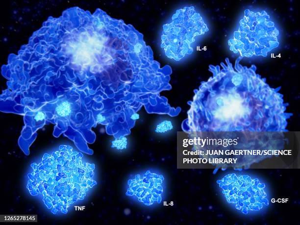 cytokine storm, conceptual illustration - マクロファージ点のイラスト素材／クリップアート素材／マンガ素材／アイコン素材