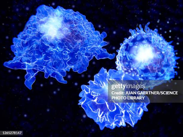 stockillustraties, clipart, cartoons en iconen met immune system cells, illustration - macrophage