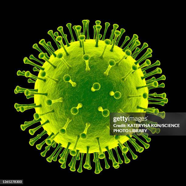 virus particle, illustration - spiked stock-grafiken, -clipart, -cartoons und -symbole