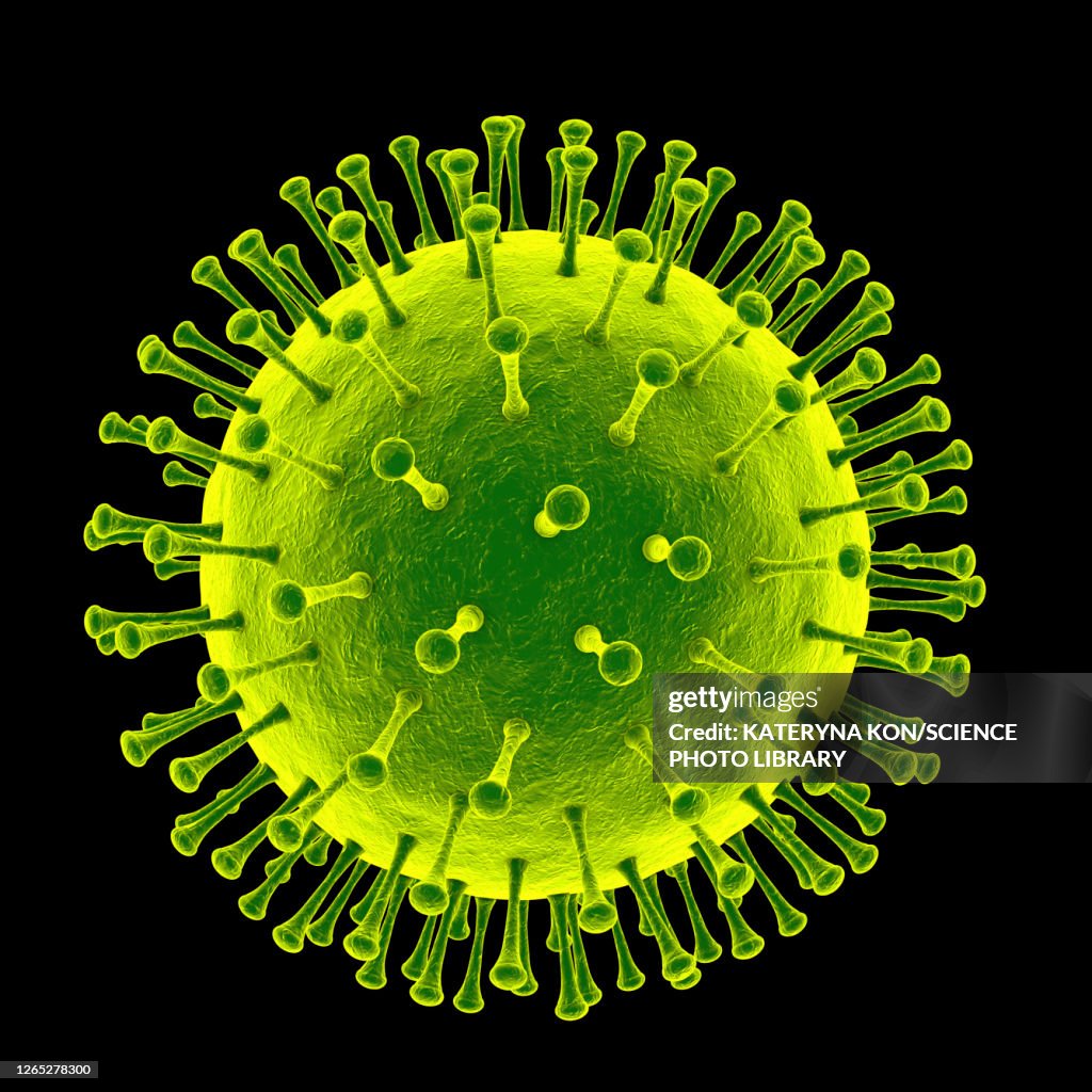 Virus particle, illustration