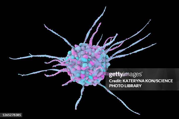 dendritic cell, illustration - antigen stock illustrations