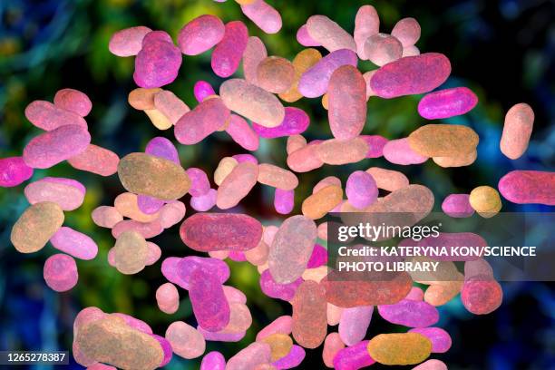 porphyromonas gingivalis oral bacterium, illustration - gingivitis stock illustrations