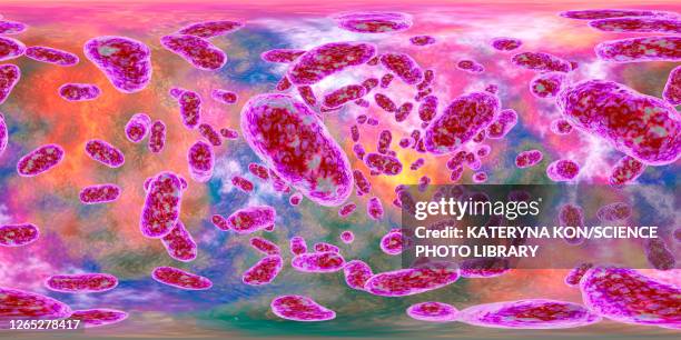 porphyromonas gingivalis oral bacterium, illustration - periodontal disease stock illustrations