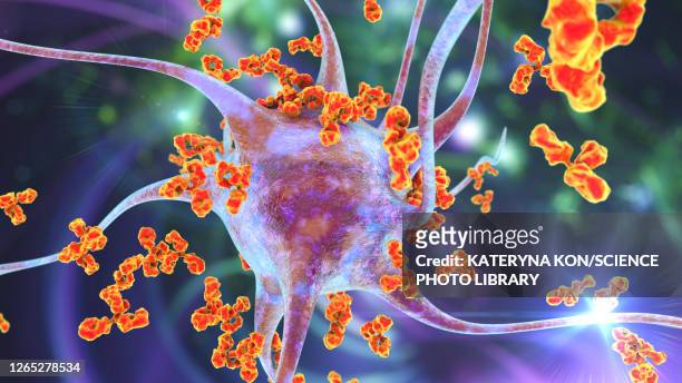 antibodies attacking neurons, conceptual illustration - autoimmune disease stock-grafiken, -clipart, -cartoons und -symbole