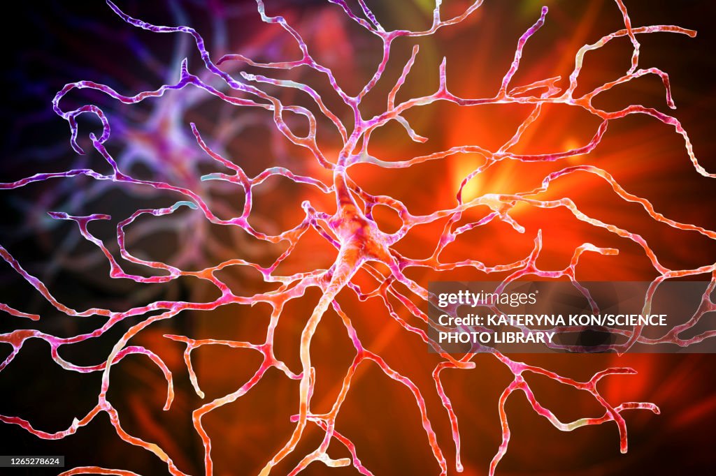 Retinal neuron, artwork