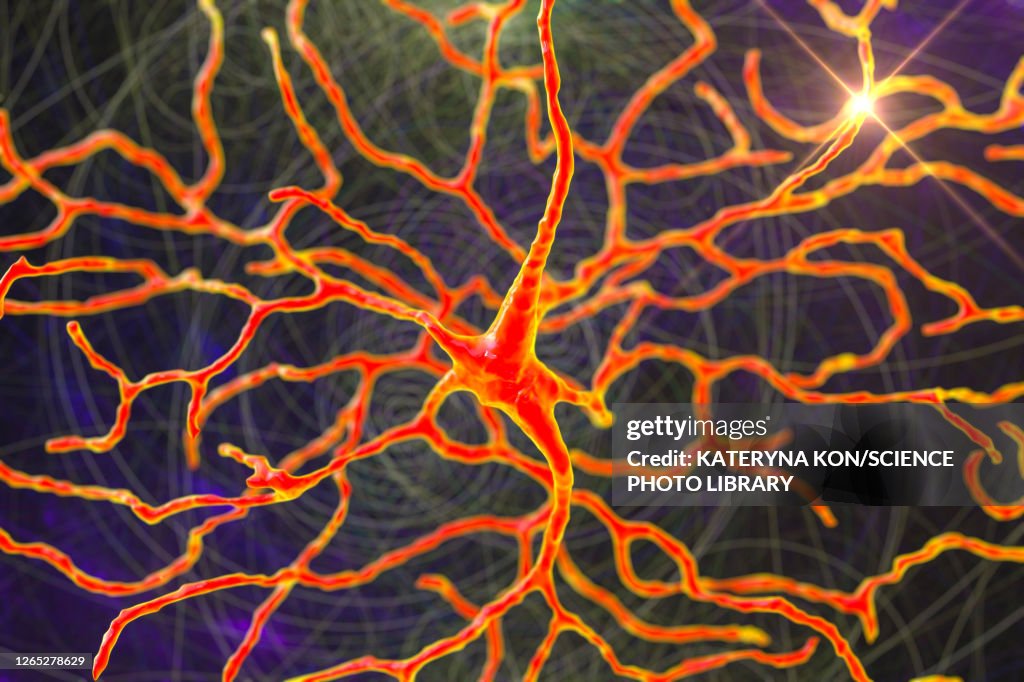 Retinal neuron, artwork