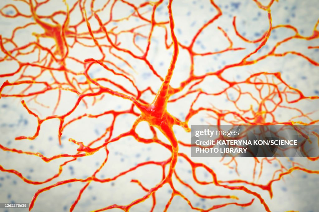 Retinal neuron, artwork