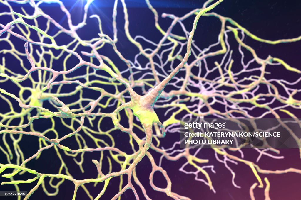 Retinal neuron, artwork
