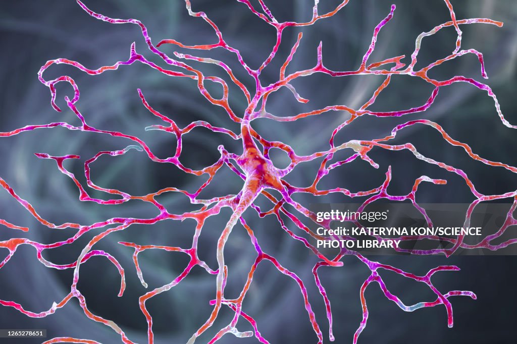 Retinal neuron, artwork