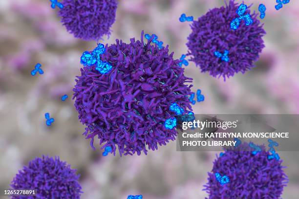 stockillustraties, clipart, cartoons en iconen met b cell and antibodies, illustration - b cel