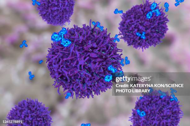 stockillustraties, clipart, cartoons en iconen met b cell and antibodies, illustration - b cell