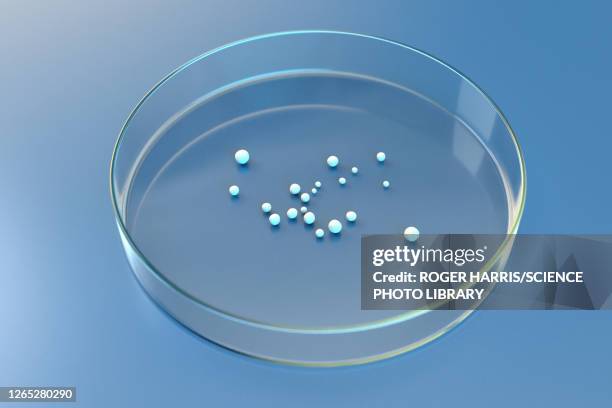 brain organoids, illustration - in vitro fertilization stock illustrations