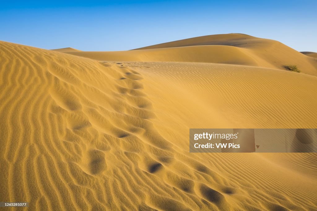 Maranjab desert.  Iran.