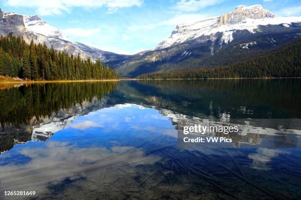 The tranquil waters of Emerald Lake reflect the majestic snow-covered Rocky Mountain peaks and tall evergreens framing the lake's shoreline in Yoho...