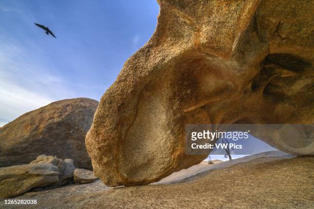 Rock formation and raven in the Cataviña desert boulder field, Baja California, Mexico.