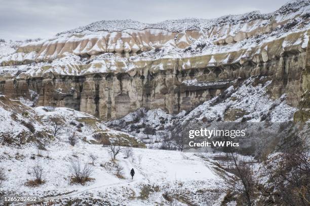 Lonely shape in Pigeon Valley landscape in Cappadocia in winter covered with snow.