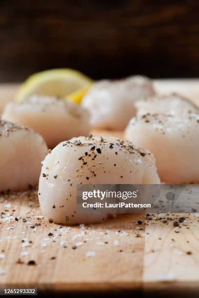 condimento capesante di mare crudo - conchiglia di san giacomo foto e immagini stock