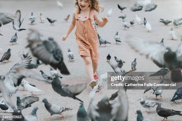child running down a path, pigeons scatter - grande gruppo di animali foto e immagini stock
