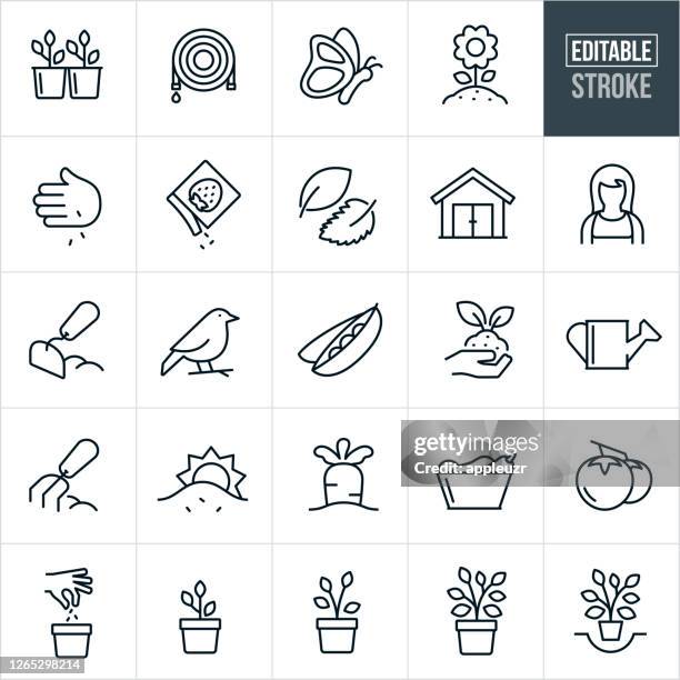 illustrations, cliparts, dessins animés et icônes de jardinage icons ligne mince - trait modifiable - garden fork