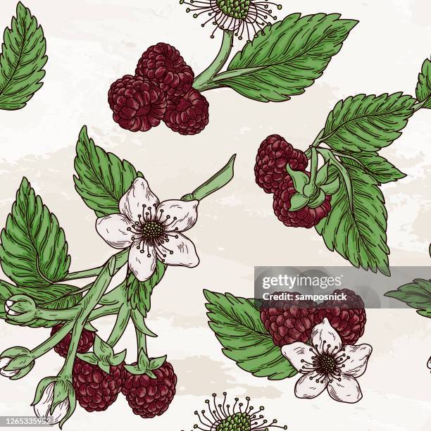 Botanical With Raspberry Patterns Raspberry Pattern Photos and Premium High Res Pictures - Getty Images