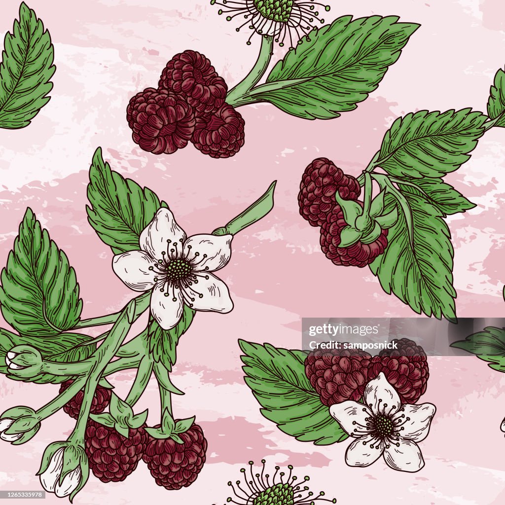 Vintage Raspberry Design Pattern Vintage Raspberry Blossom Seamless Pattern High-Res Vector Graphic ...