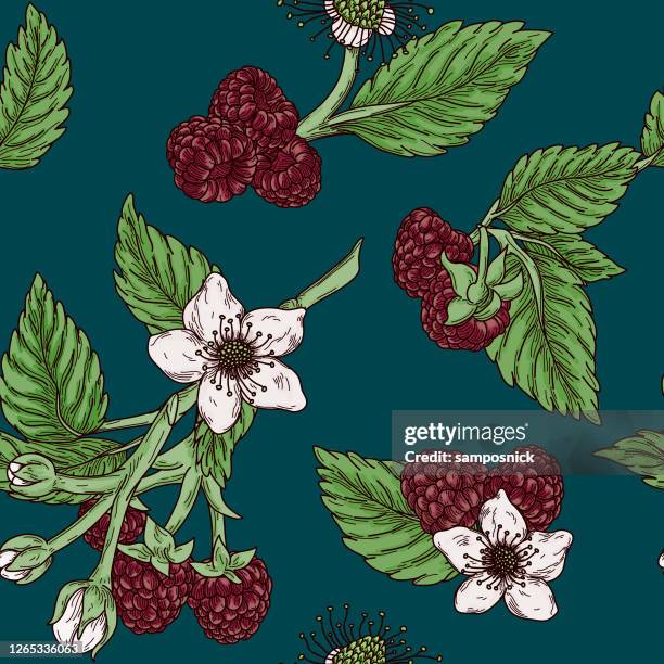 Botanical With Raspberry Patterns Raspberry Pattern Photos and Premium High Res Pictures - Getty Images