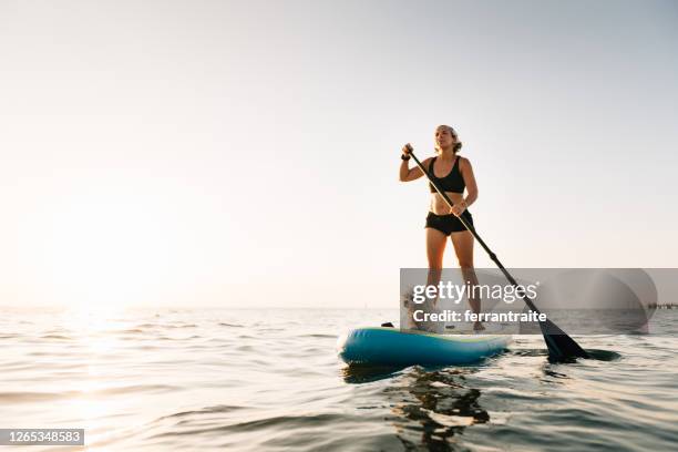 woman paddle boarding with maltese dog - paddle board stock pictures, royalty-free photos & images