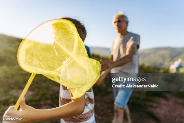 chasing butterflies with my grandad - chasing grandkids stock pictures, royalty-free photos & images