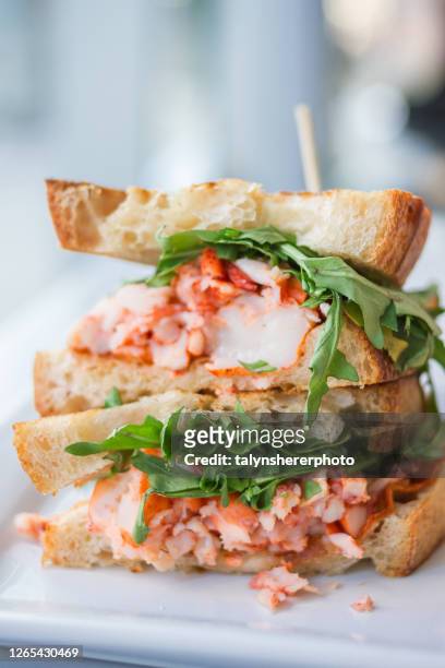 lobster grilled cheese - grilled cheese stock pictures, royalty-free photos & images