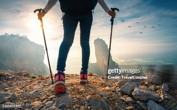 traveler feet hiking in mountains. hikers walking in forest with poles on path in mountains. close up of hiker shoes boots and hiking sticks poles. - hiking pole stock pictures, royalty-free photos & images