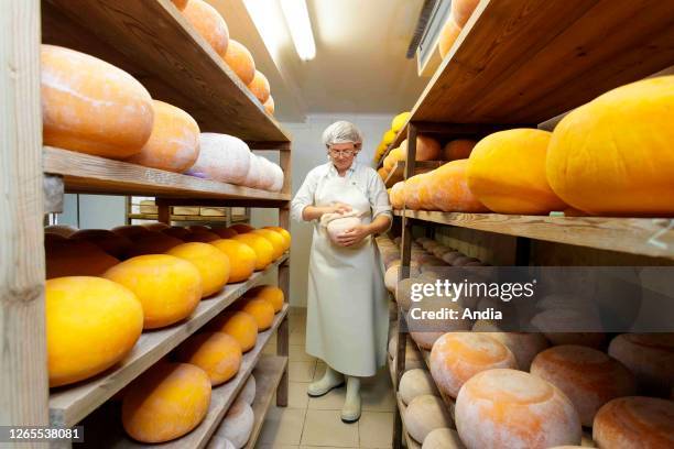 La fromagerie dIsa, organic cheese from the farm Ferme du Wint in Brunembert . Brand Valeurs Parc naturel regional Maturing of mimolette cheese.