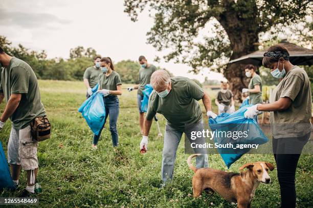 1,015 fotografias e imagens de Animal Care Worker - Getty Images 1,015 fotografias e imagens de Animal Care Worker - Getty Images